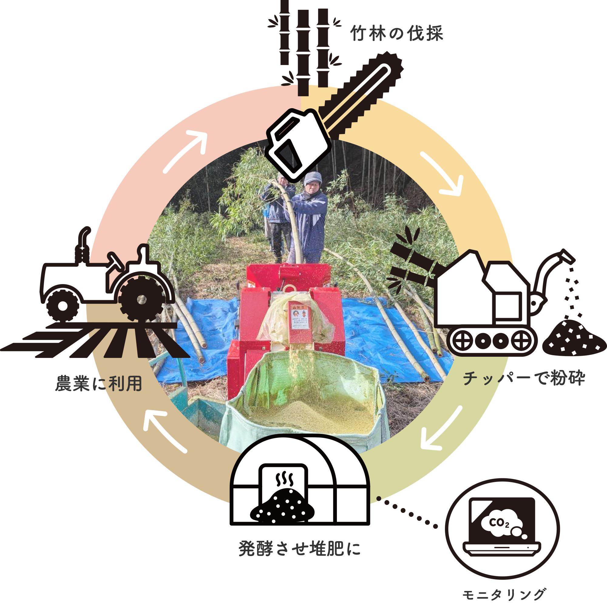 竹の資源循環イメージ