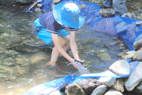 四賀の川での魚つかみは大盛況でした！