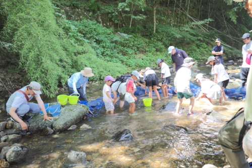 四賀錦織魚つかみ_3