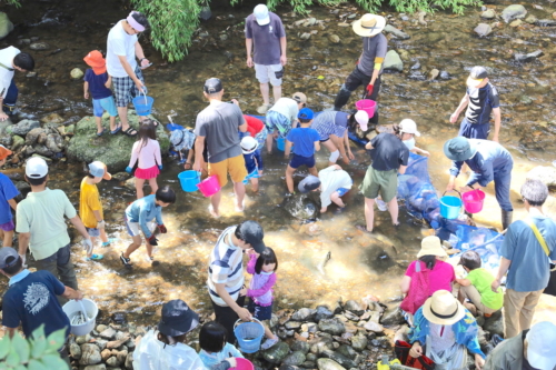 四賀錦織魚つかみ_4