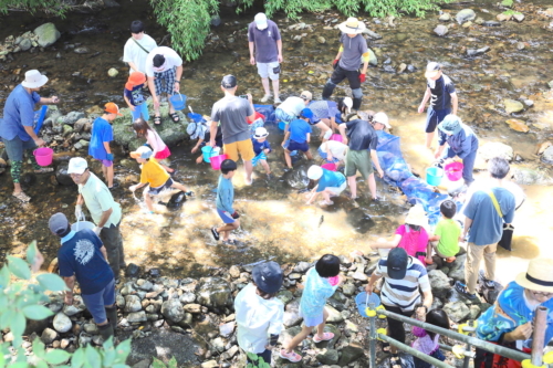 四賀錦織魚つかみ_2