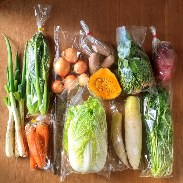 ＼ただ今のお届けラインナップ！／

シーズン最後の野菜セットのラインナップ更新となりました。
今期もたくさんの皆さまにたべくら野菜をご購入いただいて、感謝の気持ちでいっぱいです。
皆様のおかげで、無事にシーズンを終えられそうです。本当にありがとうございました🙇

冬の間もせっせと春からの畑の準備を進め、野菜セットは来春またGW明けより出荷再開します。
松本近郊のスーパー地場コーナー（コープながの安曇野店／デリシア桐店が頻度高め）と、地元の学校給食、安曇野市穂高のいっかくさんへは不定期ですが、もう数週間ほど出荷予定ですので、引き続きよろしくお願いいたします。

それにしてもこの先2週間の天気予報が毎日恐ろしく寒いことに、ビビってます💦
1/31(土)の最後のセット発送日まで、スタッフ一同、手足をかじかませながらも頑張って出荷していきます。
最低気温がマイナス10℃以下で、最高気温が0℃前後だと、出荷作業中に野菜が凍り始めるんです…、恐ろしや～😱

-----------------

日によって若干異なりますが、おおよそこんな感じでお届け中。

野菜セットは、①宅急便での発送、②農園での受取りもできます。長野県内は水曜着の定期便限定で、特別送料で送れます。詳しくはプロフィールからtabekura.comをチェック👀
tabekura.com公式SHOPからのご注文が、送料含めても一番オトクです。

#四賀村　#松本市 　#野菜セット　#写真はLセット　#有機栽培　#有機野菜　#オーガニック　#無農薬　#宅配　#産地直送　#おとりよせ　#野菜　#子育てグラム　#たべくら農園だより　#もっと食べて暮らそう。
