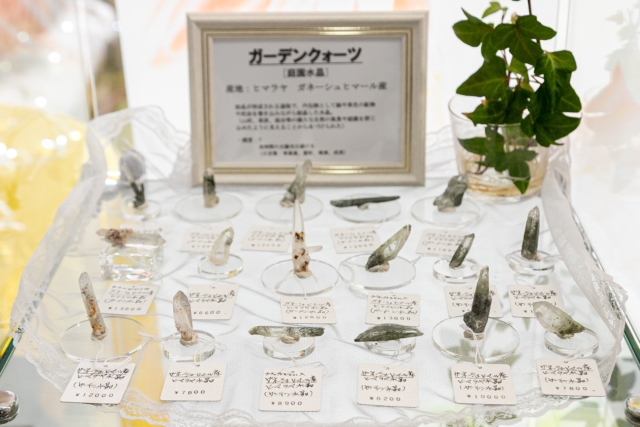 こちらは、ヒマラヤ水晶の中でも有名な、ガネーシュヒマール産の原石結晶ポイント(単結晶)。

水晶の結晶の中に緑泥石などを含むガーデンクオーツにもなっており、内包物を含む複合的な石の様子が魅力的。

石伝説でも、昔から、ヒマラヤ水晶は、開運厄除けNo.1的に人気ですが、そのヒマラヤ水晶の中でも、最高とも言われるガネーシュヒマール産水晶。

小さいけれど、何か一味違う印象。

是非、お近くの方は、手に取ってご覧になってみてください😊

オルマンのお店の周りでは、「幸せを招く」「永久の幸福」「祝福」という花言葉の福寿草の花が満開です😊

ドライブがてら、お気軽にお立ち寄りください。

#オルマン
#天然石
#パワーストーン
#ヒマラヤ水晶
#原石
#ガネーシュヒマール産水晶
#松本市
#四賀