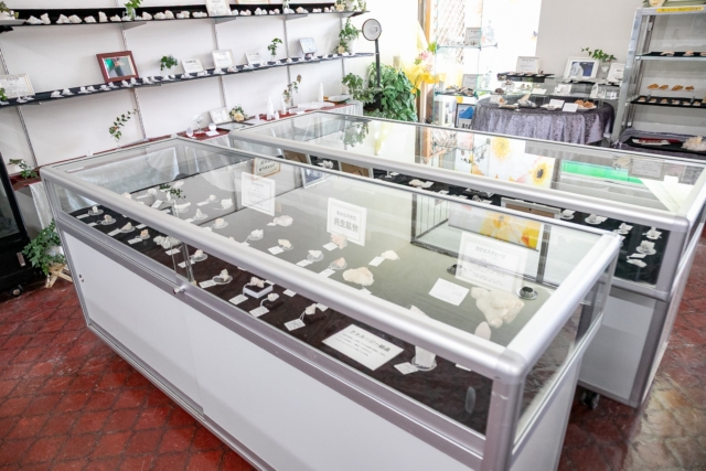 天然石のオルマンでは、希少で珍しい「共生鉱物特集展」を開催中です。

石ファンには、見逃せない魅力的な石たちが勢ぞろい。

共生鉱物とは、2種類以上の鉱物が一緒に生成している、魅力的な複合鉱物です。

それぞれの鉱石としても魅力と共に、石伝説もそれぞれ楽しめるので、何だかお得な気分。

共生することによって、石の複合的な魅力が増し、見ていて飽きません。

「共生」は、現代のキーワードではないかとも思います。

ネット未掲載商品は、店頭に300点くらいありますので、お近くの方は、是非、手にとってご覧になりにお出かけください😊

◎「アポフィライト」共生鉱物特集～浄化と癒しの石伝説を持つ希少な石～

https://www.oruman.com/stone/apo/

◎スティルバイト(束沸石)共生鉱物特集
～「天使の羽」とも呼ばれる、癒しの石伝説。結晶が魅力的～

https://www.oruman.com/stone/still-bite/

◎カルセドー(玉髄)との共生鉱物特集
～無数のキラキラ輝く結晶、ドゥルージー結晶が魅力～

https://www.oruman.com/stone/chalcedony/

◎幸運を呼ぶと言い伝えられている、無数の結晶がキラキラと輝く「ドゥルージー結晶」が一緒についている魅力的なものも、たくさん入荷しました!

手のひらに乗る、かわいいサイズですが、魅力的で存在感があります。

--------------------------------

～ 世界にただ一つ　
あなたと石との出会いが見つかる ～

「天然石のオルマン」　
https://www.oruman.com/
長野県松本市会田1024-3
電話　0263-64-2076　

#オルマン
#共生鉱物
#天然石
#パワーストーン
#ヒマラヤ水晶
#原石
#松本市
#四賀