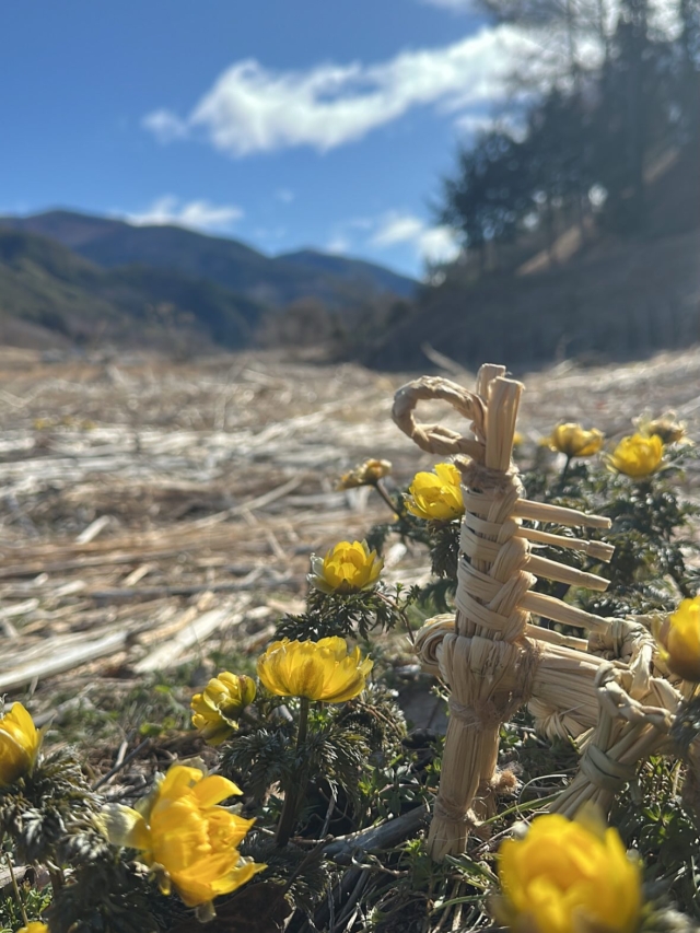 松本市四賀(しが)の作業所から春の便りをお届けします🌼
わら細工で「わら馬」を作りました！🐎

「なかなか仕事が続かない…」
「最近、気持ちが沈んで集中できない」
「一歩踏み出したいけれど、何から始めればいい？」　

そんな悩みをお持ちの方へ。

自然豊かな環境で、心身を整える時間を過ごしませんか？

ここには、いろんな個性の仲間がいます。
一歩ずつ、試行錯誤しながら「自分に合ったスタイル」を一緒に見つけていきましょう。

私たちは、あなたの心と身体に寄り添い、大切な『役割』や『居場所』をつくるお手伝いをします🌱

【見学・体験は随時受付中】
まずは空気を感じに来るだけでも大丈夫です。お気軽にお問い合わせください。

#就労移行支援 #就労継続支援B型 #うつ #リワーク #リフレッシュ #気分転換 #適応障害 #メンタルヘルス #ひきこもり支援 #手仕事 #長野県 #松本市 #松本市四賀 #四賀