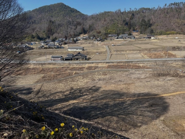 福寿草群生地の四賀村の赤鬼田へ
午後1時過ぎについてもまだ花開いていました
明日の22日まで福寿草祭りとしてやっているらしいです

#長野#福寿草#四賀村#田舎