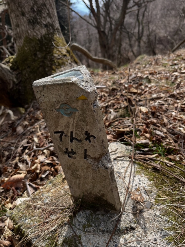 馬頭観音に励まされ。
九十九折りをいくつか過ぎれば刈谷原峠。
標高920m、往時は茶屋が三軒もあったと伝わる。
一服入れて刈谷原町の集落へと急坂を下る。
里に下りれば辺り一面に福寿草が咲き誇る。
12:30横山不動尊の東屋を借りてランチタイム。
餅屋のおこわにセブンのチキンとゆで卵。
こんなランチもまた楽しく美味しい。
しばらく車道を歩き、板場の一里塚を過ぎて浄雲寺へ。
楼門、本堂、鐘楼いずれも大きく見応えがある。
道は間もなく会田宿に入り、14:00四賀支所に到着。
松本へと戻る公共交通機関はバスの四賀線のみ。
休日のダイヤは一日に３本のみ。
最後の一本の出発は2時間半後の16:40。
缶コーヒーを飲んだり、併設の図書館に入ったり。
そんなバス旅も非日常で貴重な体験。
2026.3.22

#善光寺西街道
#刈谷原峠
#会田宿
#街道歩き
#四賀村