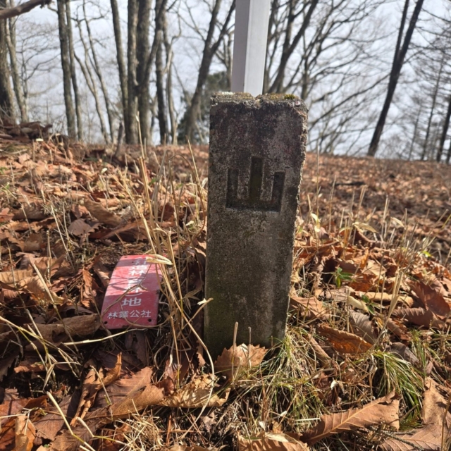 滝山連峰

山に登る長野県民も殆ど知らないであろう山々。松本市四賀地域の保福寺峠と青木村の田沢温泉あたりを結ぶ里山の稜線になる
山名としては入山、御鷹山、滝山、十観山など。1ヶ月前に十観山は登ったので今度は逆から三ツ頭までピストン
里山というとのどかな山を想像するが、実際は整備された高山よりよっぽど大変
何しろ道がつづら折りには付けられてないので、坂を力任せに直登していくことになる
稜線歩きはアップダウンがあり体力を削られる
踏み跡も不明確なので、何度も道をロストして山の中を彷徨う
熊の痕跡は見なかったが、鹿は何頭も見たし、あらゆる場所にフンが

自然保護というけど、こういう里山は人が入っていかないと荒廃するだけだと思う
もうこの国にそんな余裕はないのかもしれないけど

#滝山連峰　#御鷹山　#四賀　#里山山歩　#信州の風景