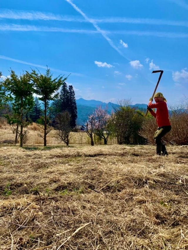 💫

ただ在るだけで
すべて
うつくしい✨

#信州
#長野
#松本
#四賀