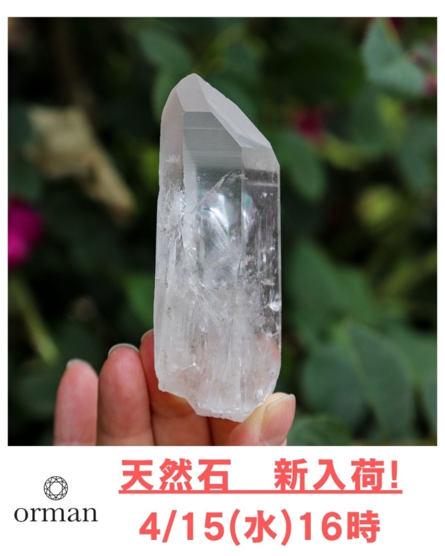 4/18(土)に開催予定
「世界の天然石」と「五感で楽しむ中国茶」の人気コラボ! 
「お花見茶会」に合わせて、明日、4/15(水)の夕方、新しい天然石が追加入荷します!

ご都合がつく方は、是非、一足先に新しい石たちを見に、お気軽にお立ち寄りください😊

--------------------------------

～ 世界にただ一つ　
あなたと石との出会いが見つかる ～

「天然石のオルマン」　
oruman.powerstone

長野県松本市会田1024-3
電話　0263-64-2076　

#オルマン
#天然石
#凛空
#中国茶
#原石
#天然石オリジナルブレスレット
#松本市
#四賀